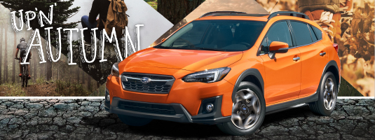 Impreza Offer